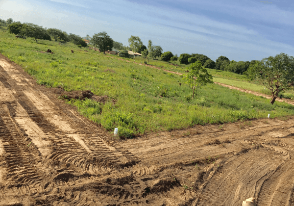 Gambia woos Nigerian investors, offers tax-free incentives, unfettered access to land