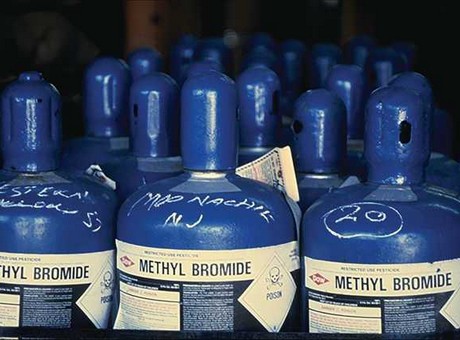 What is the big deal about Methyl Bromide NAFDAC and NAQS are sparring over? (1)