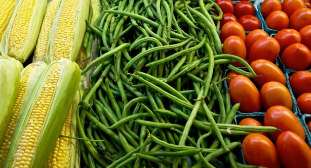 National Biosafety Management Agency (NBMA)