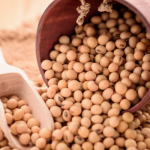 Soybean performs most in June trading