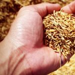 Bayer takes 100 new young leaders on journey towards Zero Hunger