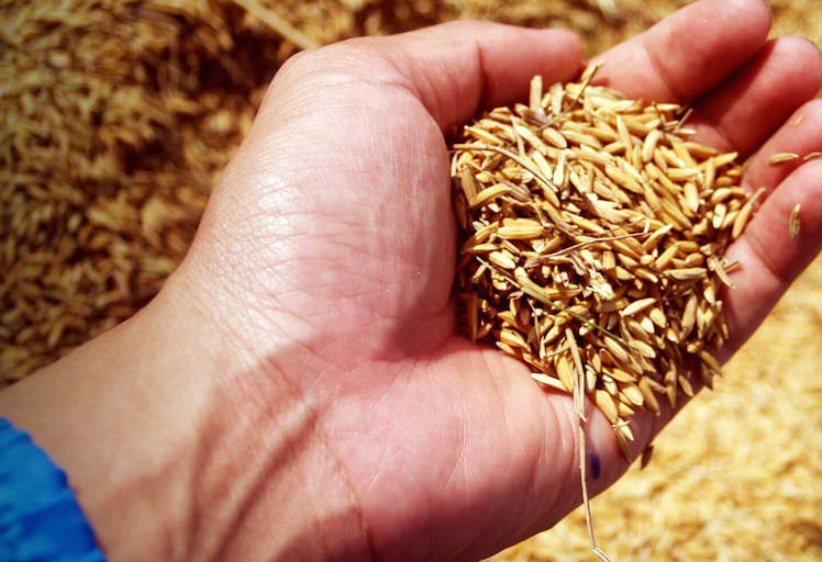 Bayer takes 100 new young leaders on journey towards Zero Hunger