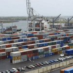 Multiple Customs’ units create bottlenecks, delay business at ports