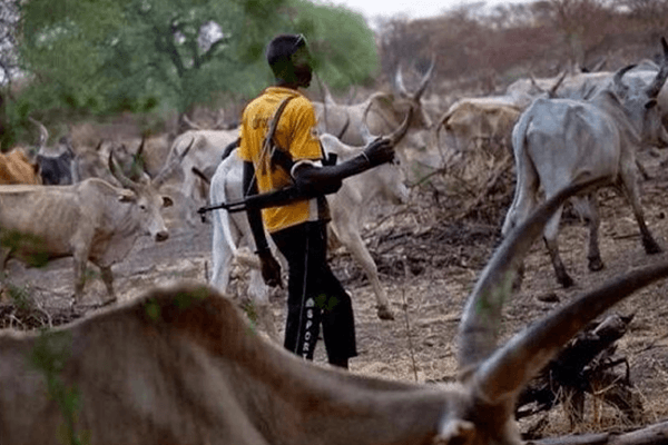 herdsmen attack on orphanage in Delta