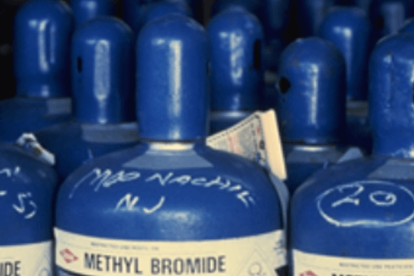 NAFDAC, NAQS at war over ban on methyl bromide as fumigant