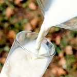 Why CBN must consult on planned forex restriction on milk- NECA