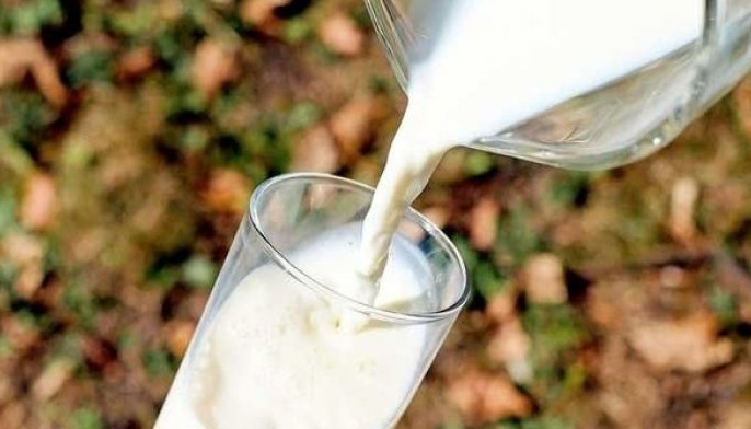 Why CBN must consult on planned forex restriction on milk- NECA