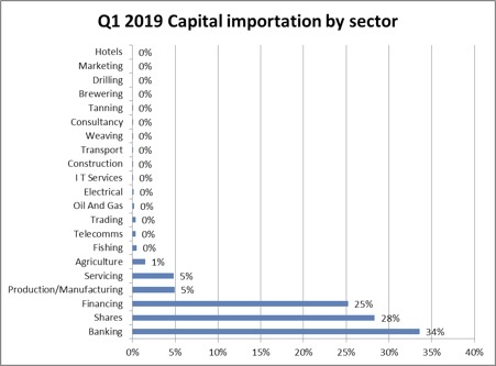 The salient message in first quarter 2019 capital importation