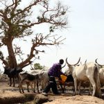 herdsmen attacks