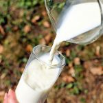 Kano to invest $9 million in local milk production