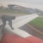 Passengers panic after unidentified man climbs on wings of aircraft prior to take-off