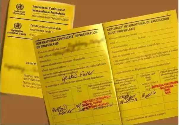 Nigeria’s Yellow card website leaks thousands of data