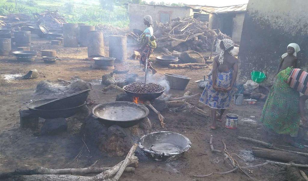 Women at a shea butter cluster in Kolonji village parboiling the fresh nuts to remove the outer skins