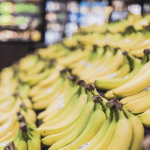 Deadly banana fungus reaches Latin America