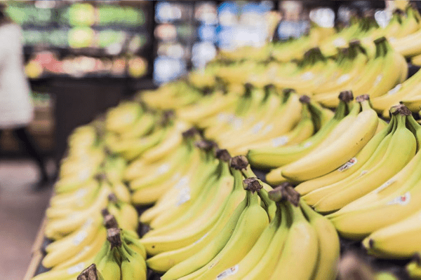 Deadly banana fungus reaches Latin America