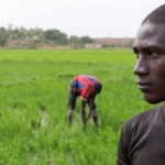 Total E&P invests to boost next generation of agribusinesses