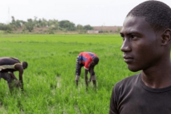 Total E&P invests to boost next generation of agribusinesses