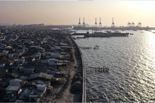 Joko Widodo names Borneo site for new Indonesian capital