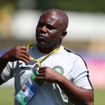 Coach Danjuma picks Nnadozie, Duru, 16 others for Rabat 2019