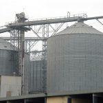 Dangote Flour Mills worth N159.24bn based on enterprise value