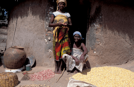 Favourable harvest pushes food price to 30-month low in July