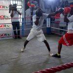 GOtv Boxing NextGen Search 5 will boost boxing - former coach