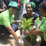 Lagos and the greenery crusade
