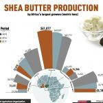 Nigeria’s shea butter production: Hard work for smooth skin
