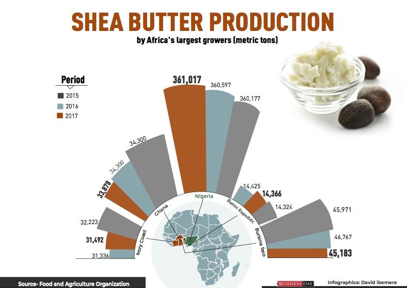 Nigeria’s shea butter production: Hard work for smooth skin