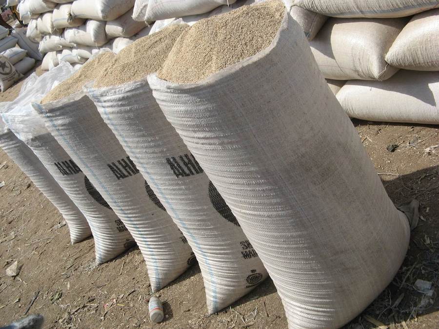 Nigeria can earn N120bn revenue from export of sesame seed annually – Agusto report