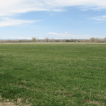 Seven land documents you must demand before buying landed asset