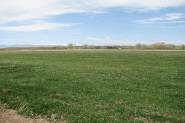 Seven land documents you must demand before buying landed asset