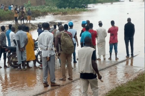 FCTA distributes N150 million worth inputs to flood affected farmers