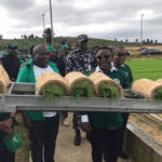 Abia procures improved rice seedlings from Cross River