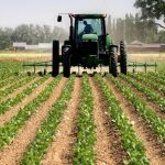 Nigeria’s agric investment hits 6-year high 