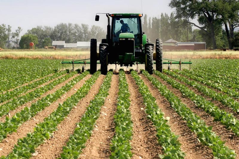 Nigeria’s agric investment hits 6-year high 