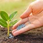 Nigeria’s fertiliser imports drop 31% as investments hit $7.5bn