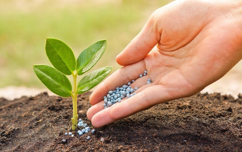 Nigeria’s fertiliser imports drop 31% as investments hit $7.5bn