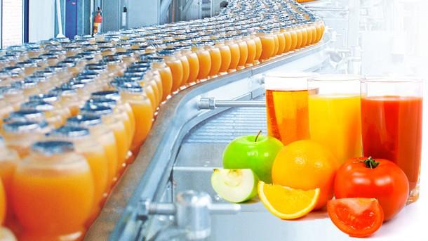 JuiceTech Solutions and fruit processing techniques