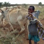 National Livestock Master Plan