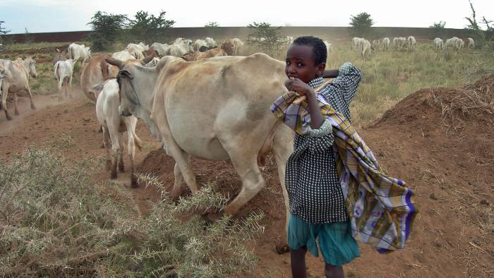 National Livestock Master Plan