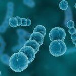 Experts worry over climate change impact in addressing infectious diseases