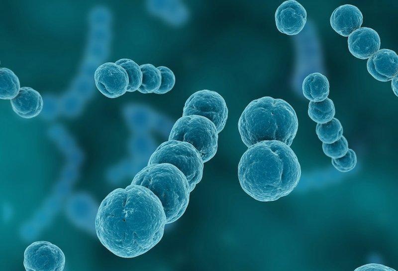 Experts worry over climate change impact in addressing infectious diseases