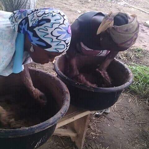 Women kneading the dark brownish paste from the shea nuts.