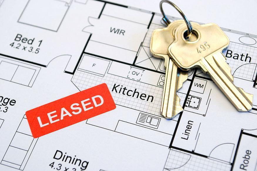 Tenants Guide: Reasons renters need to research properties, agents