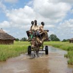 Climate change and conflict in West Africa (1)