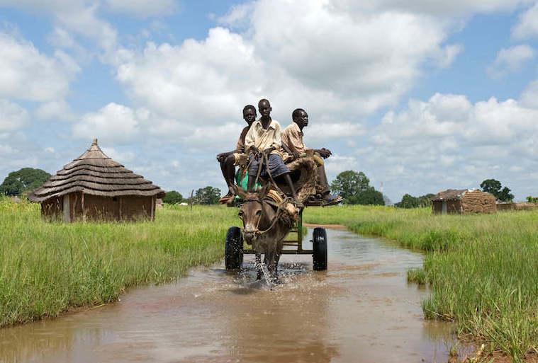 Climate change and conflict in West Africa (1)