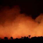 The world can’t afford for the Amazon to go to blazes