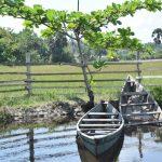 Akwaaba 2019 boosts Nigeria’s tourism, travel business