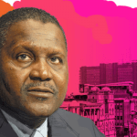 Dangote`s multi-billion Naira greenhouse farm goes into full operations in Kano, Dangote